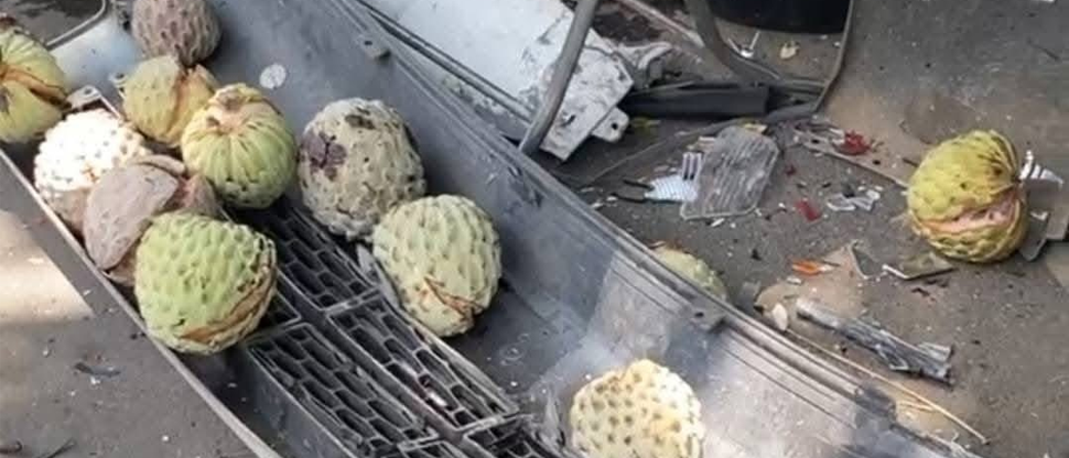 Camión choca contra puesto de venta de anonas en Usulután