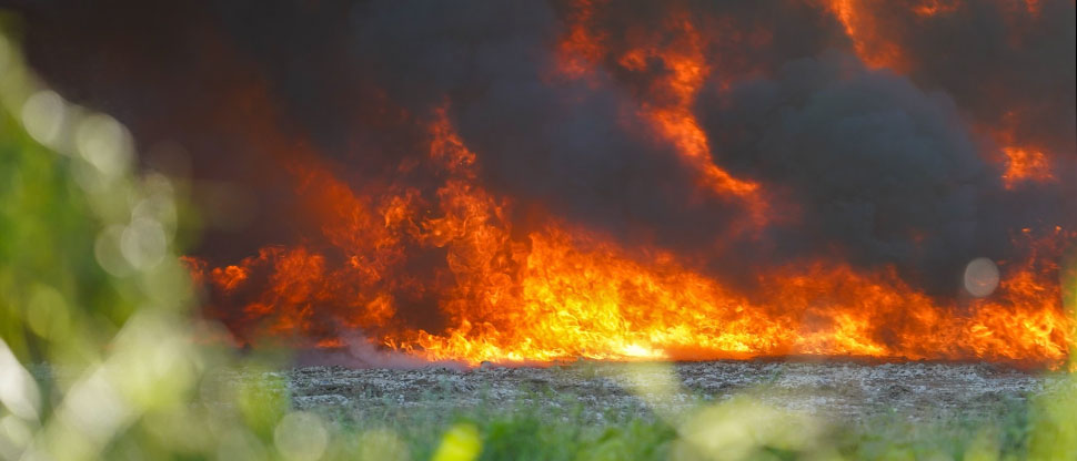 Fiscalía coordina destrucción de sustancias ilícitas incautada en varios puntos de Santa Ana