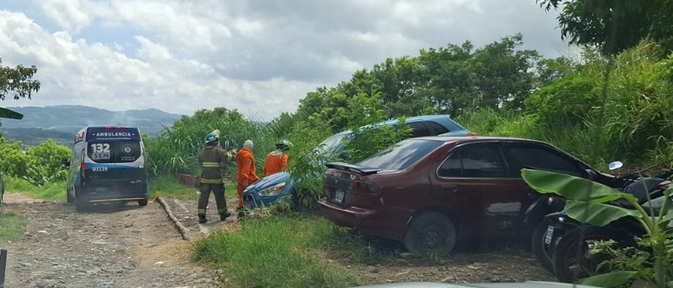 Enjambre de abejas ataca a 4 personas en el sur del distrito de Soyapango
