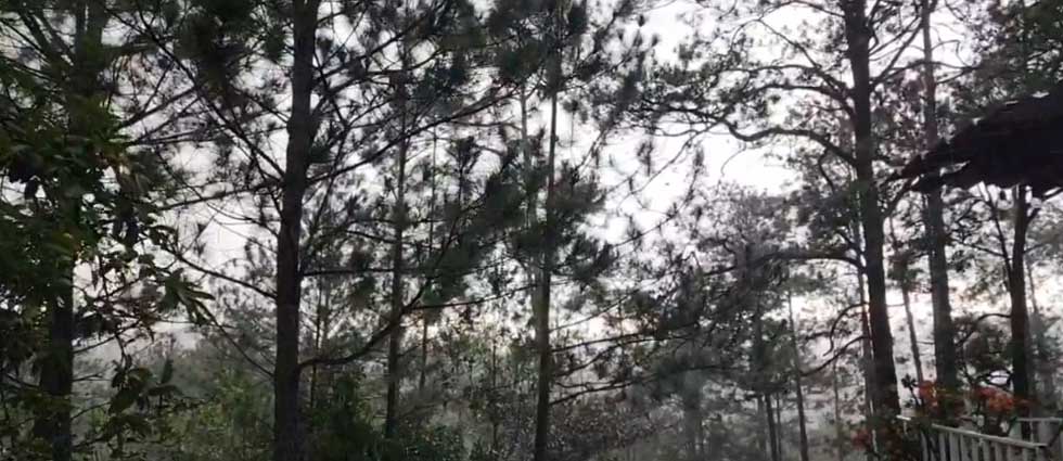 MARN reporta lluvias, actividad eléctrica, fuertes ráfagas de viento ¡y caída de granizo! en algunos departamentos