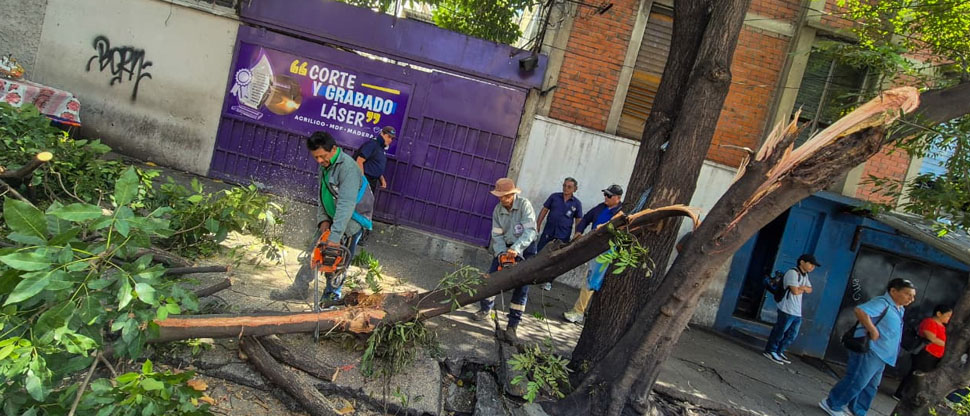 Remueven ramas caídas por las recientes lluvias en San Salvador Centro