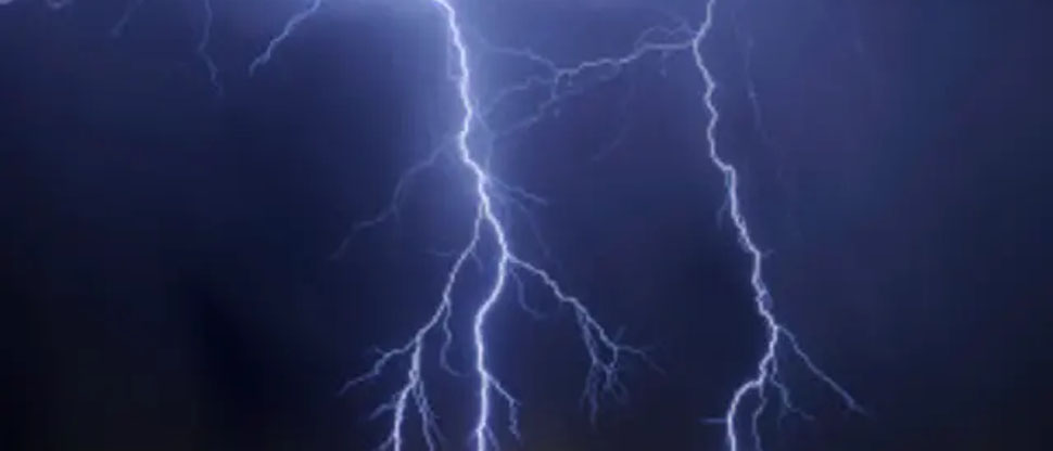 Rayo acaba con la vida de 9 vacas durante fuerte tormenta en Pasaquina, La Unión