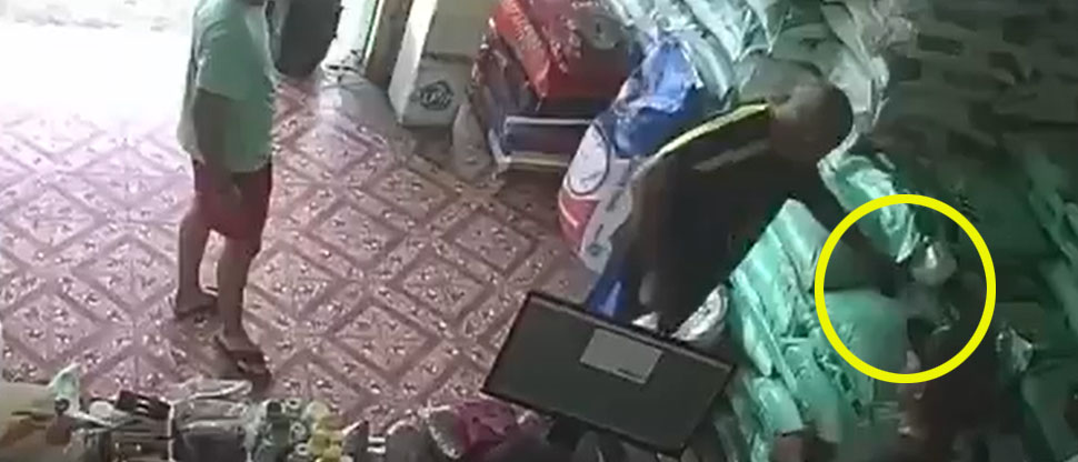 Este es el momento exacto cuando hombre aprovecha descuido para robar celular en Usulután