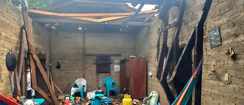 Dos lesionados tras caer árbol sobre una vivienda en Santa Rosa de Lima