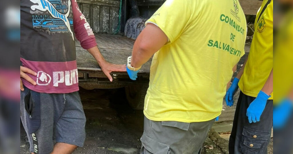 Hombre es mordido por una culebra cascabel en Guazapa