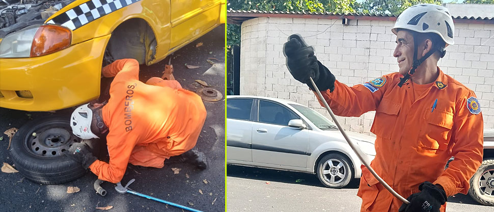 Bomberos atrapan serpiente en la parte del motor de un taxi