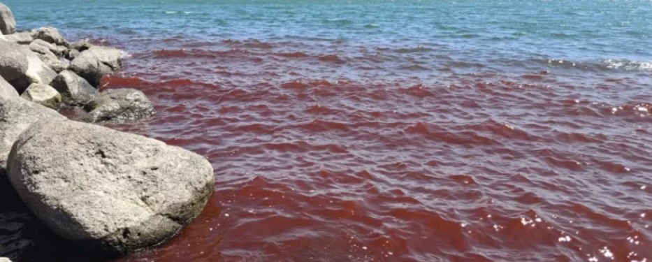 El Mar de Galilea se tiñe de rojo y causa alarma en Israel