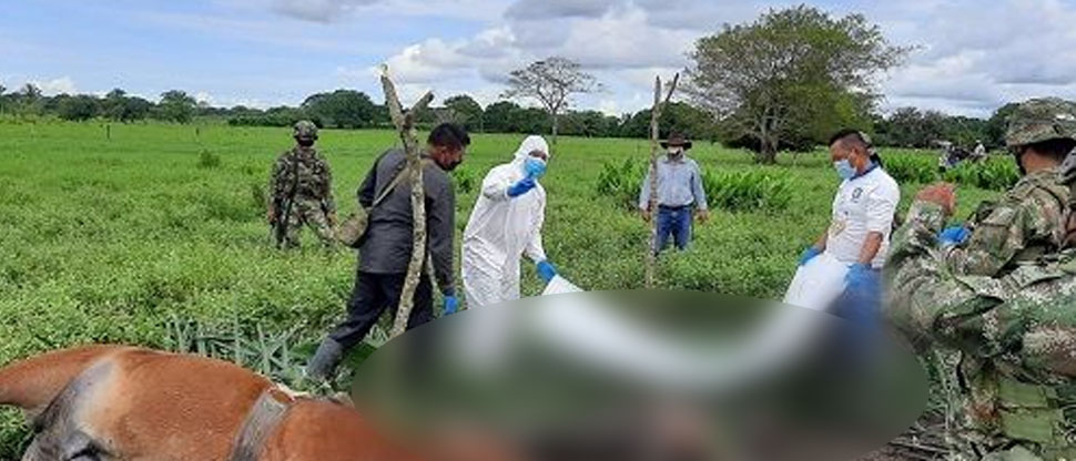 Dos hombres y un caballo pierden la vida tras caerles un rayo en Colombia