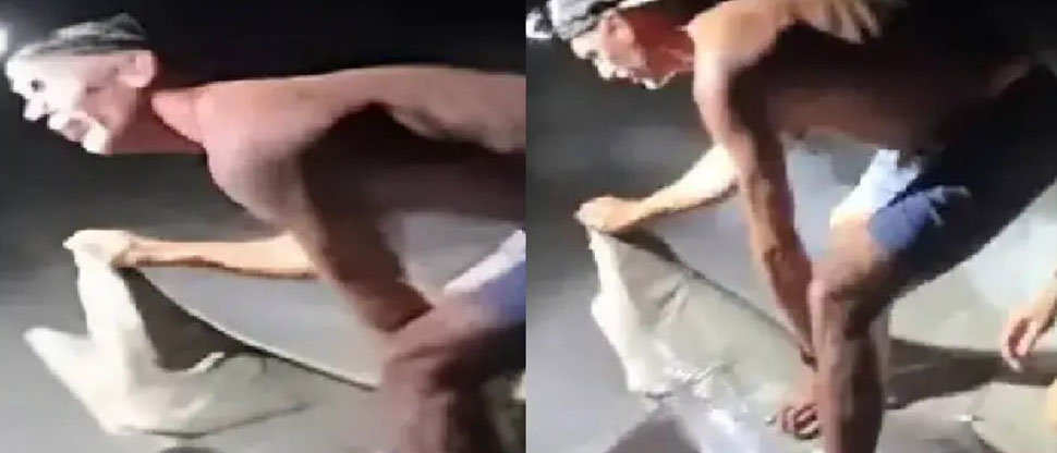 Hombre es mordido por un tiburón por intentar posar para la fotografía