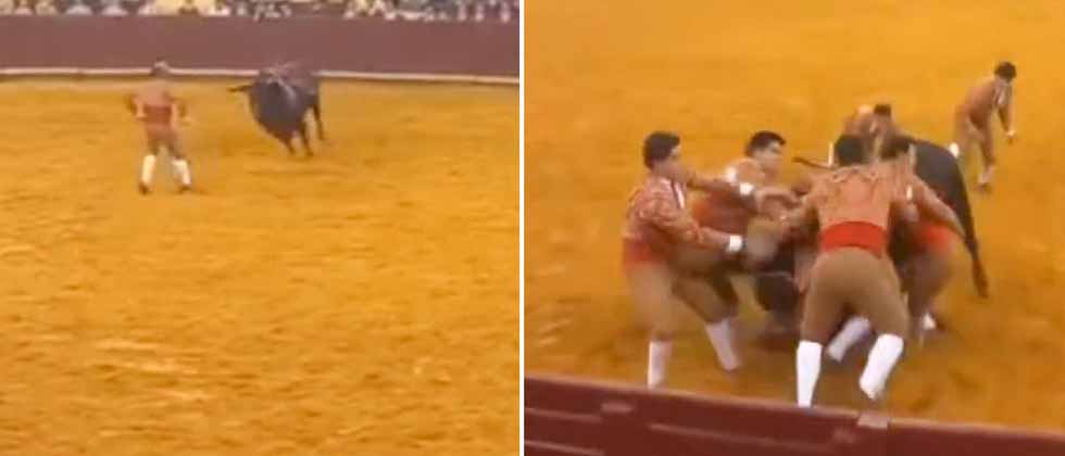 Muere joven torero tras ser embestido por un toro de 700 kilos