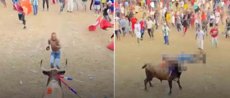 Colombia: Hombre muere corneado por un toro tras su intento fallido por saltarlo