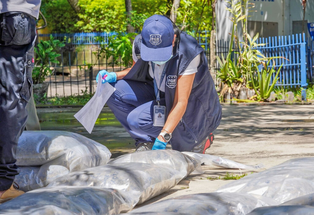Verifican droga incautada en distintos operativos que será destruida
