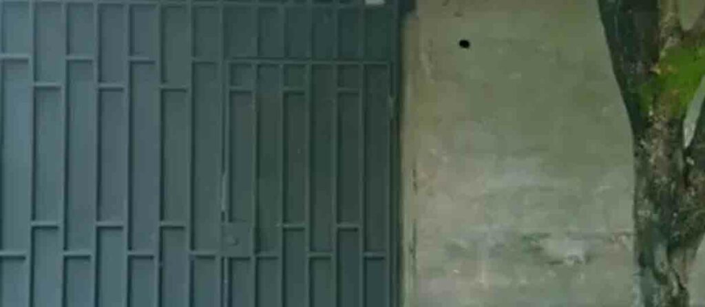Hombre pasará tras las reja por adueñarse de la vivienda de su hermano de manera ilegal