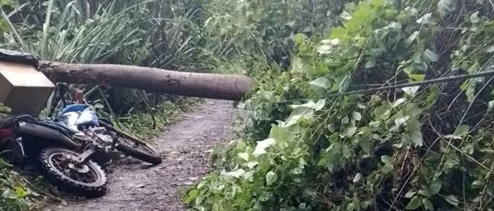 Árbol cae sobre motociclista que circulaba en un cantón de Sensuntepeque