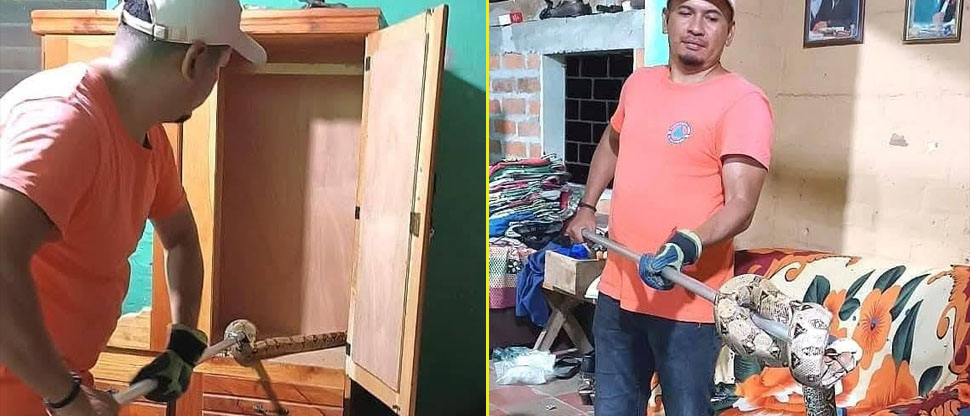 Familia se lleva tremendo susto al encontrar serpiente dentro de un ropero