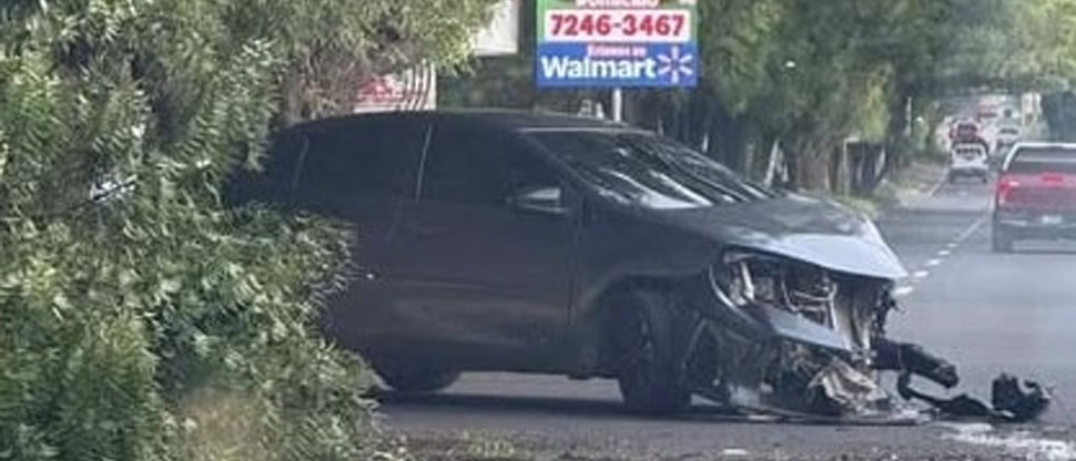 Ramas de árbol caen sobre vehículo en marcha en San Miguel