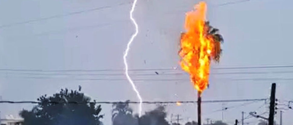 Palmera se incendia en cuestión de segundos tras el impacto de un rayo
