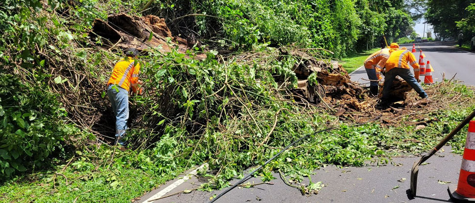 Personal del Fovial retira escombros por derrumbe en carretera al Cerro Verde