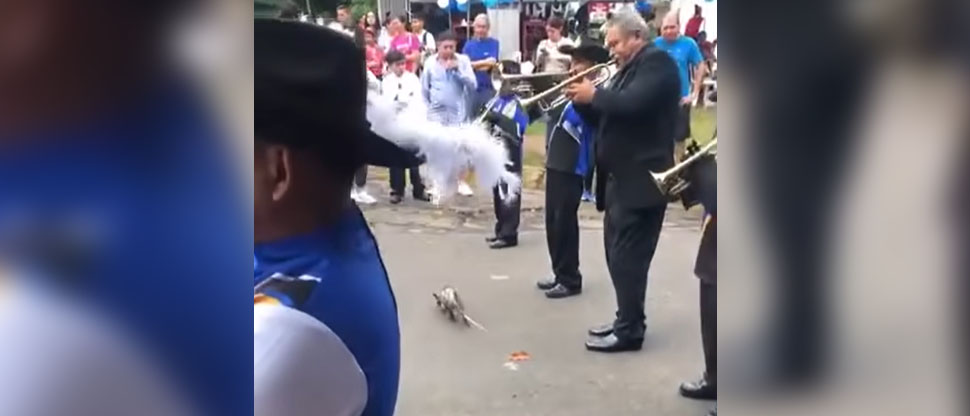 Tacuazin se roba las miradas durante desfile cívico esta mañana en Acajutla