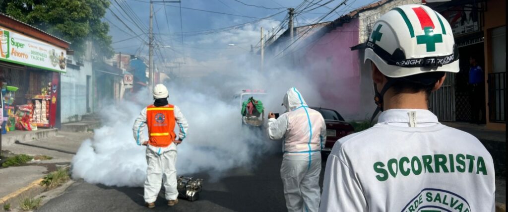 Enjambre de abejas ataca a varias personas en mercado de Soyapango