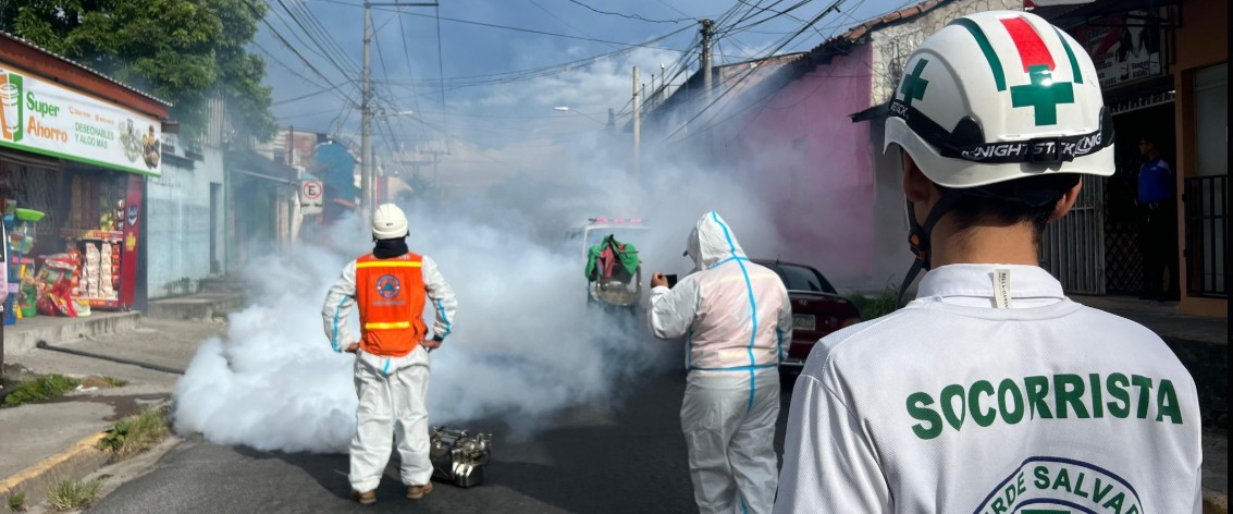 Enjambre de abejas ataca a varias personas en mercado de Soyapango