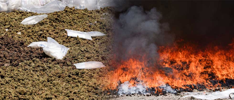 Autoridades destruyen droga valorada en miles de dólares