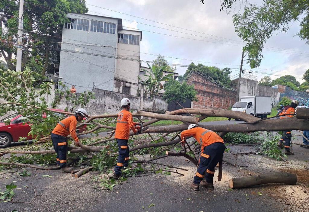 Retiran árbol caído que obstruía el paso vehicular sobre la calle Monserrat en San Salvador Centro