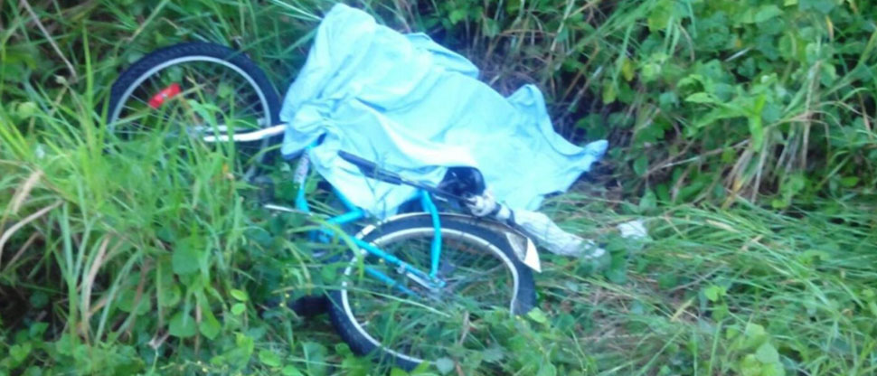 Decretan instrucción formal contra motorista de bus por homicidio culposo