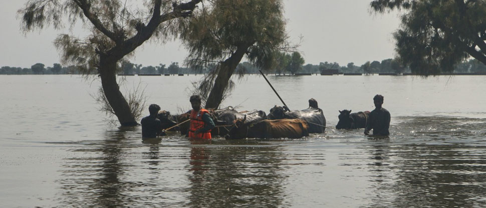 Pakistán: bote con personas evacuadas por inundaciones vuelca y deja 9 personas ahogadas