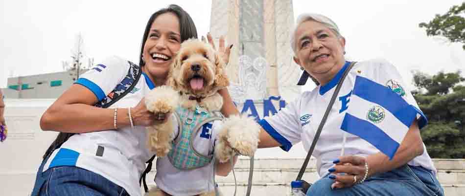 Los peluditos se unieron al desfile del Día de la Independencia