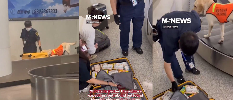 China: paralizan labores de un aeropuerto tras detectar una maleta sospechosa