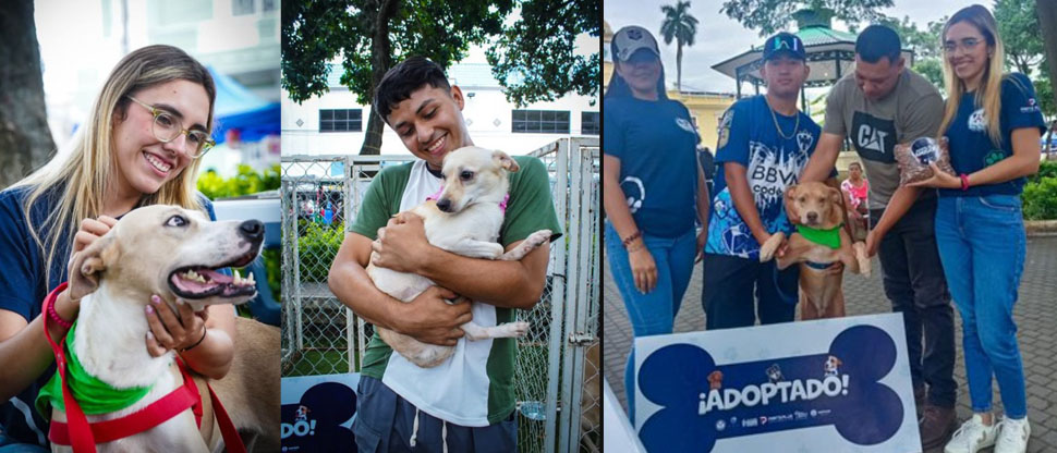 Alcaldía de Santa Ana Centro realiza jornada de adopción de perros rescatados