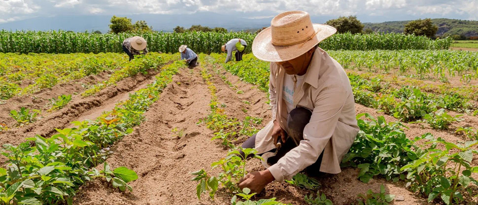 MARN y ENA recomiendan a agricultores no sembrar este mes en Ahuachapán