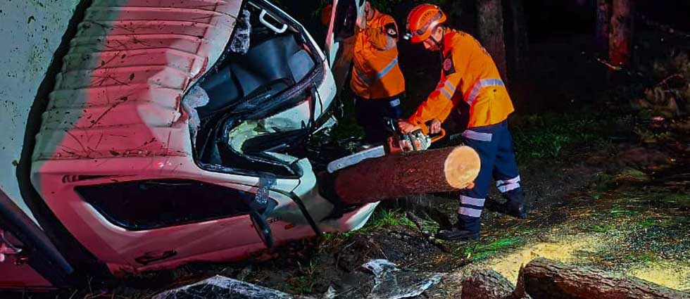 Conductor sobrevive de milagro tras quedar incrustado en un árbol en la carretera Panamericana