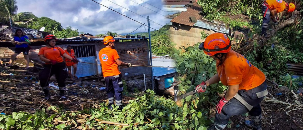 Protección Civil auxilia a familia tras caer árbol en su vivienda