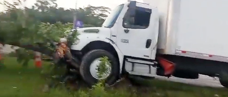 Conductor de camión choca contra un árbol en carretera Panamericana