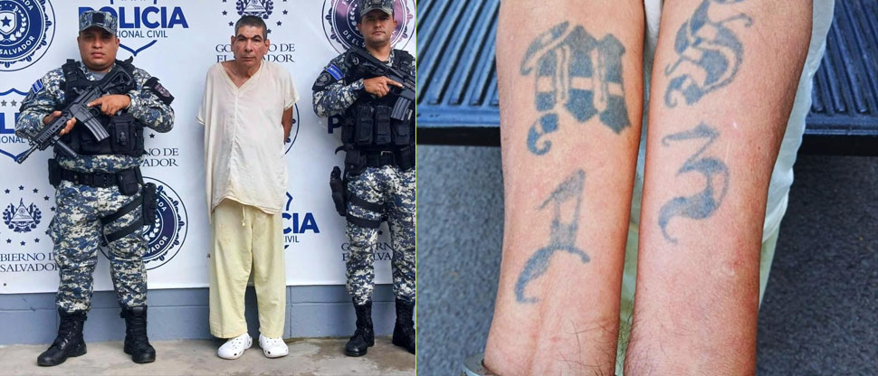 Capturan a uno de los más antiguos de la clica “Sailor Criminales Locos Salvatruchos”