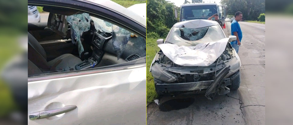 Conductor a excesiva velocidad choca contra una yegua en Usulután