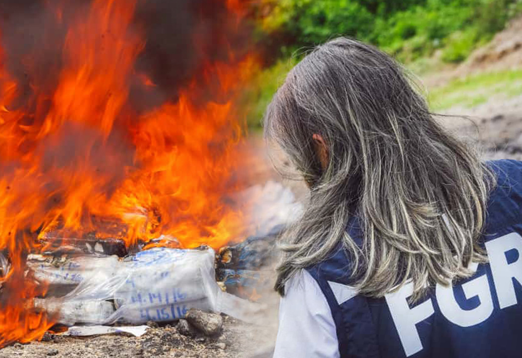Autoridades destruyen 360 kilos de droga valorada en más de $9 millones