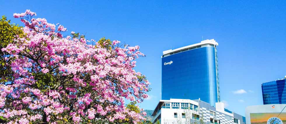 El Salvador está en plena transición de la estación lluviosa a la seca: MARN