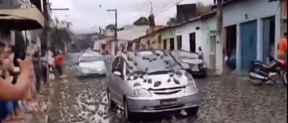 Viralizan video de plaga bíblica que atemoriza a brasileños