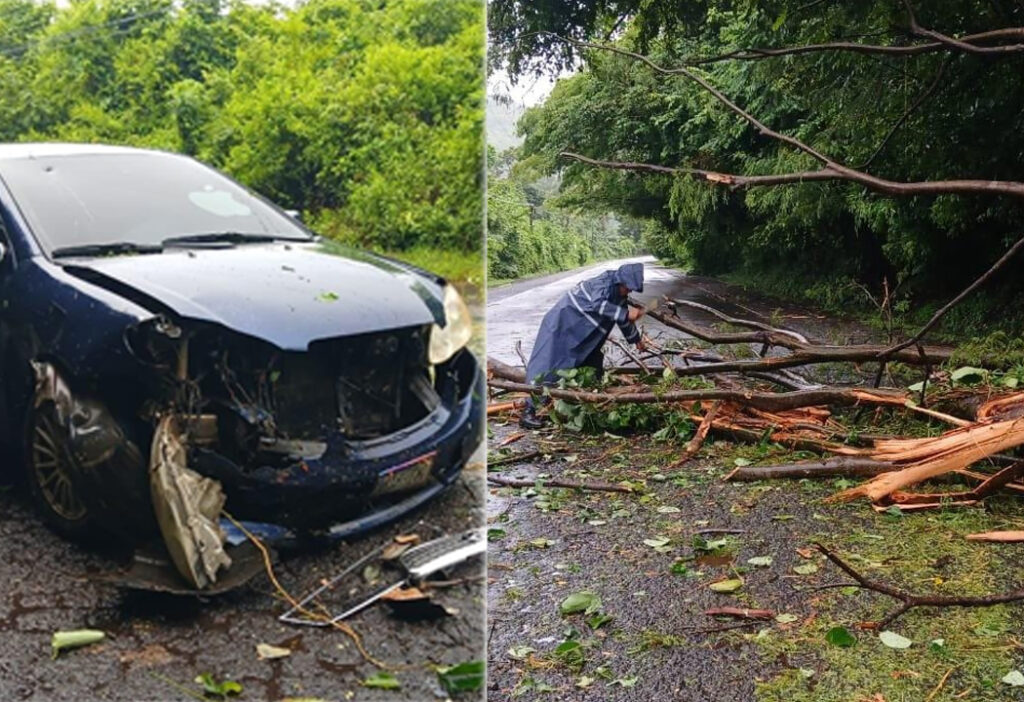 Caída de árbol provoca accidente en carretera Litoral, San Miguel