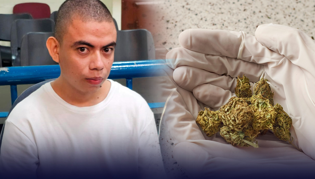 Condenado a varios años de cárcel por transportar gran cantidad de hierba