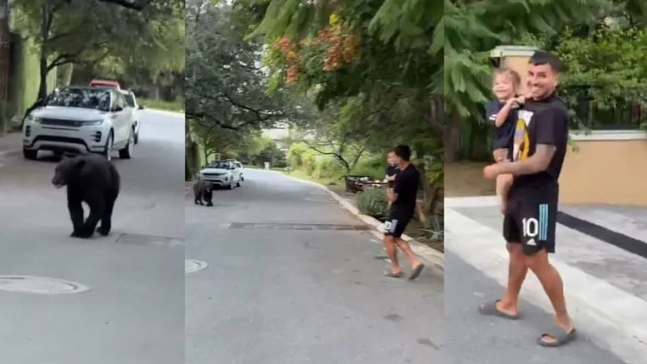 Angel Correa se lleva el susto de vida al toparse cara a cara con un oso negro