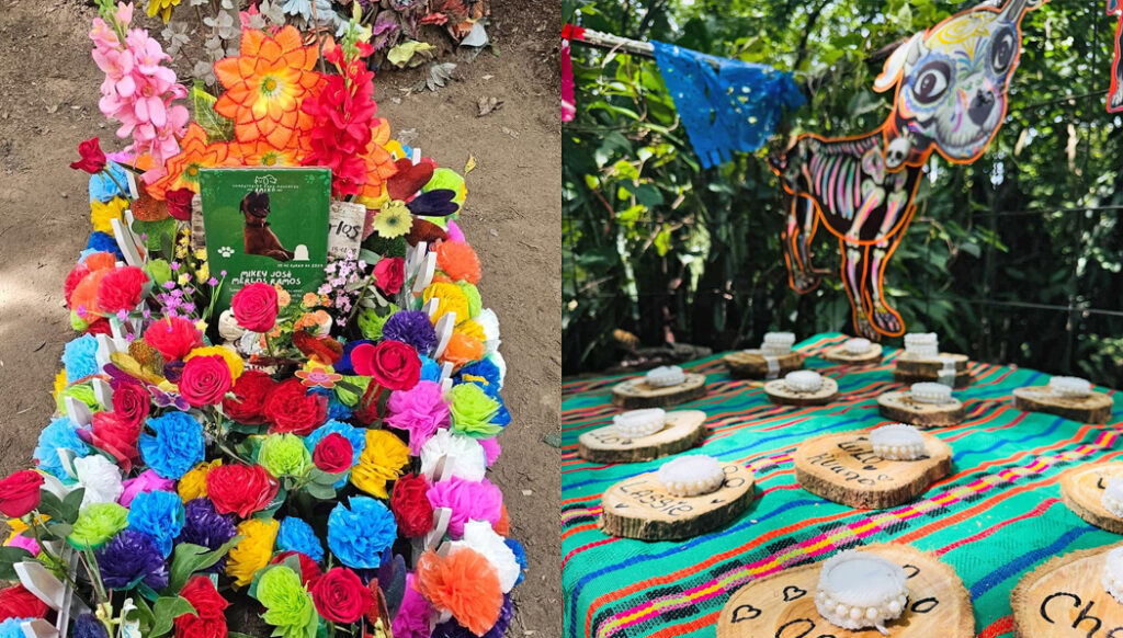 Así se celebró el día de los muertos de las mascotas en El Salvador