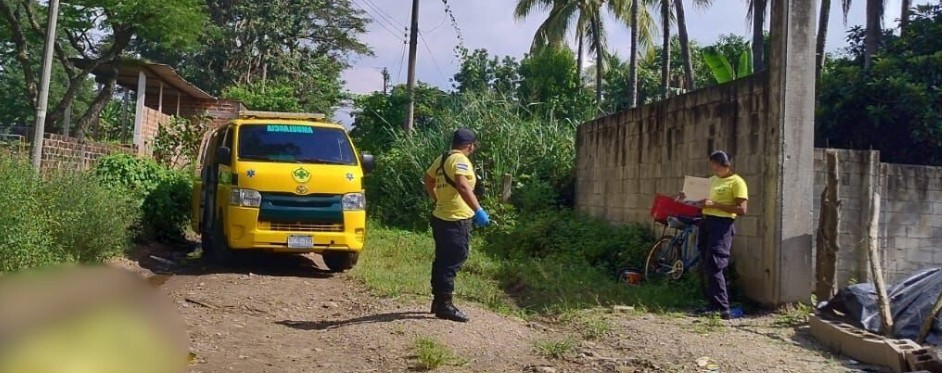 Hombre muere tras caer de un árbol de 7 metros de altura