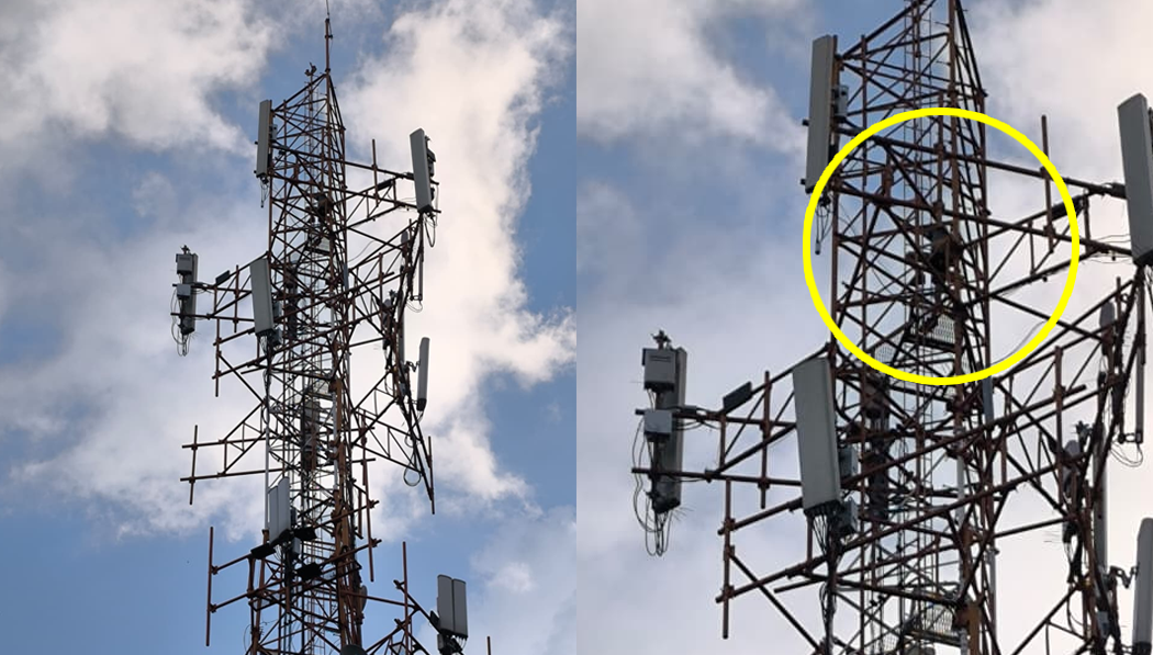 Equipos de primera respuesta intentan rescatar a un menor que escaló una torre de telefonía en Santa Ana