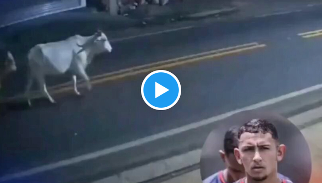Futbolista brasileño muere tras atropellar una vaca en el estado de Piauí