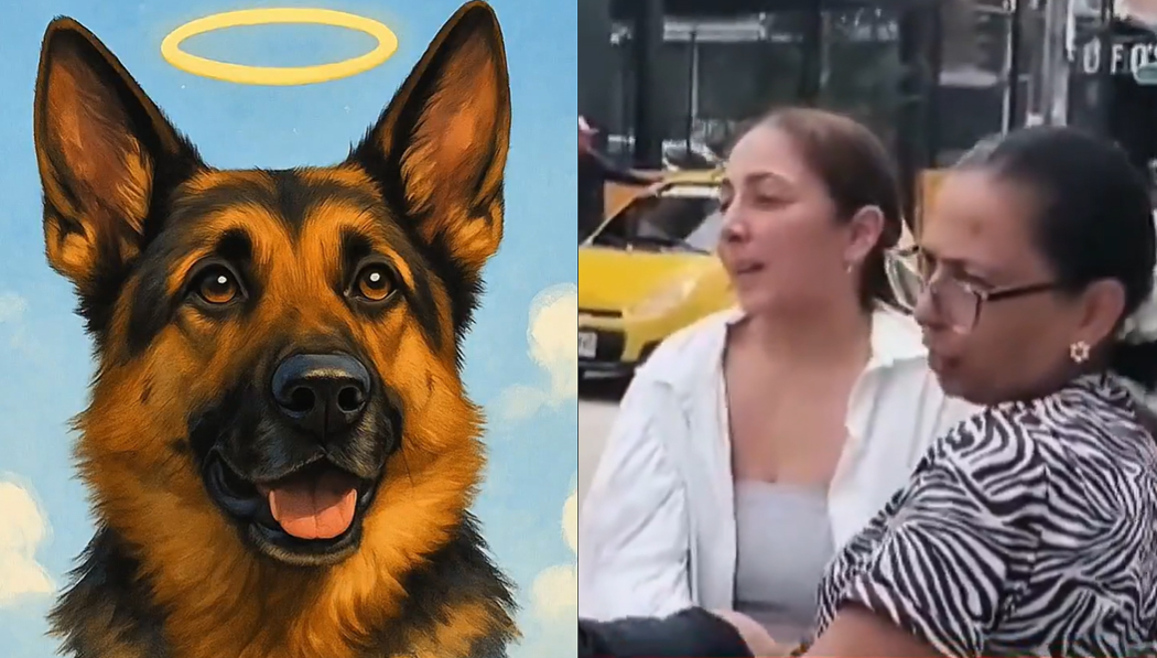 Colombia: meten a la cárcel a madre e hija por quitarle la vida a un perro