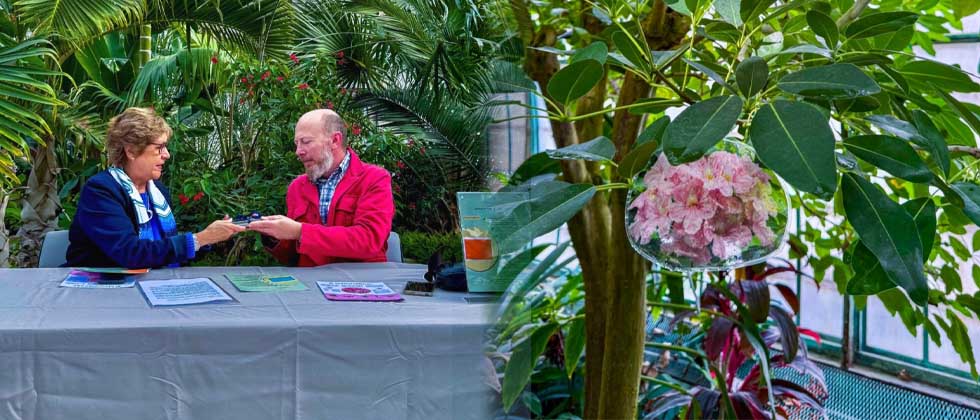 El Salvador siembra la amistad en París con la entrega de semillas de maquilishuat 